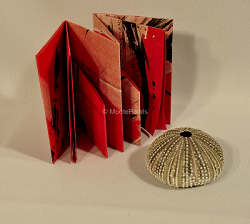 Books-Slash and Fold Side View